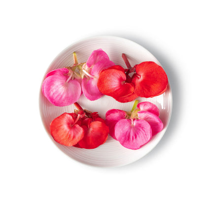 Wholesale Fresh Origins Edible Begonia Flowers Valentines Hearts- Bulk