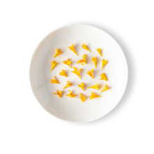 Wholesale Fresh Origins Micro Marigold Floret- Bulk