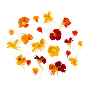 Wholesale BoxNCase Nasturtium Flowers-50 CT Bulk