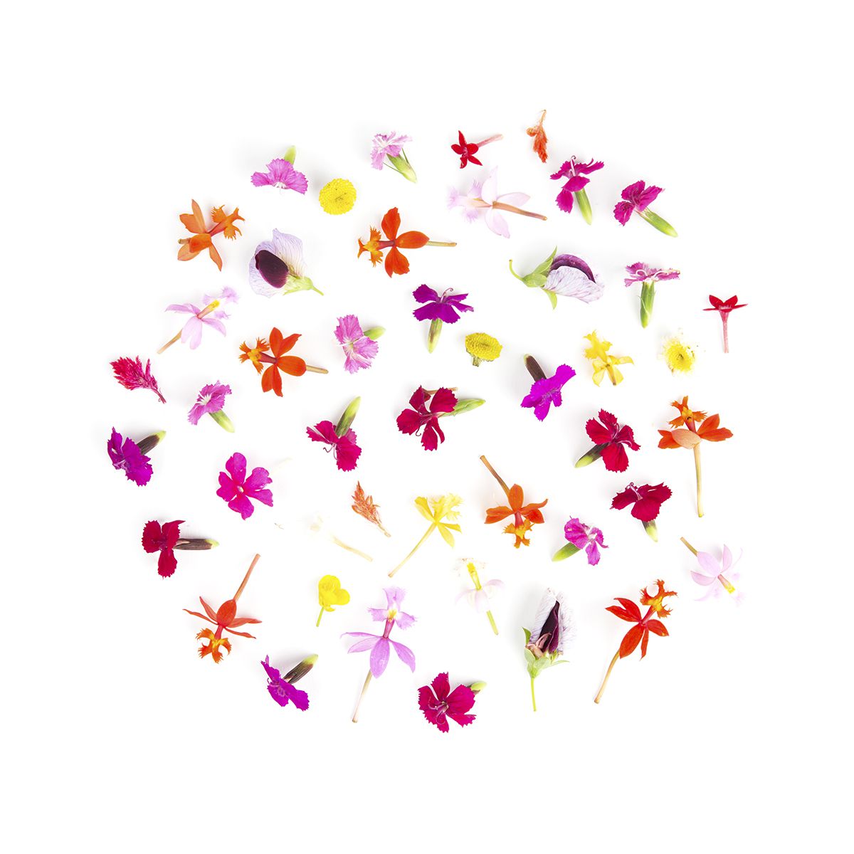 BoxNCase Micro Flower Blend