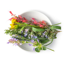 Wholesale Fresh Origins Herb Flower Mix- Bulk