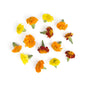 Wholesale Fresh Origins Marigold Flowers- Bulk