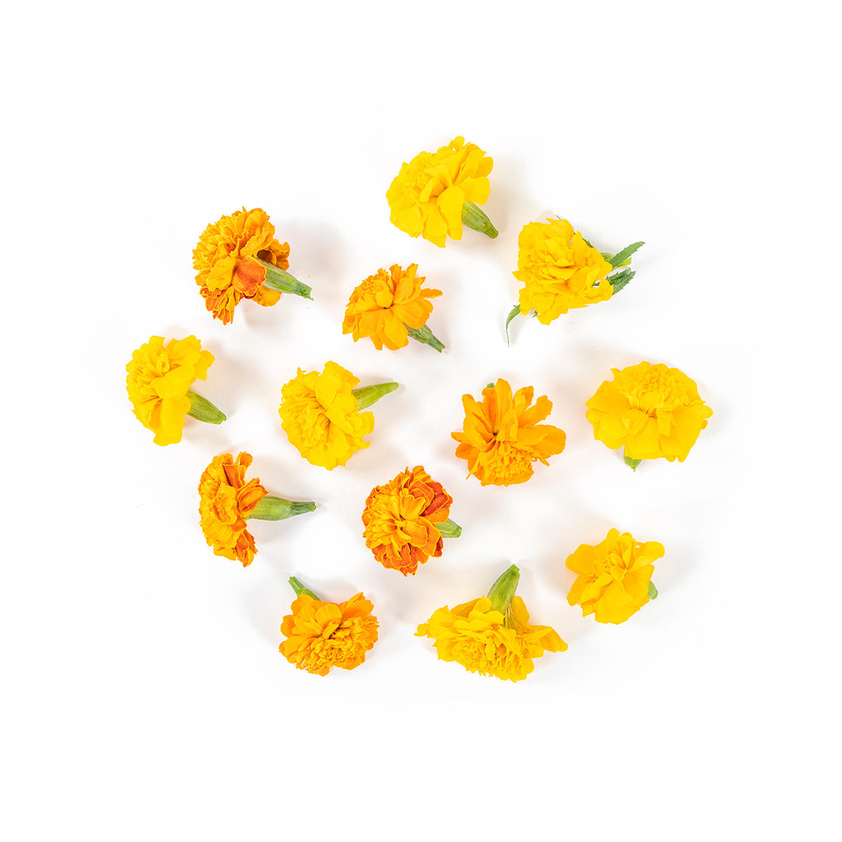 Koppert Cress Marigold Flower Blossoms