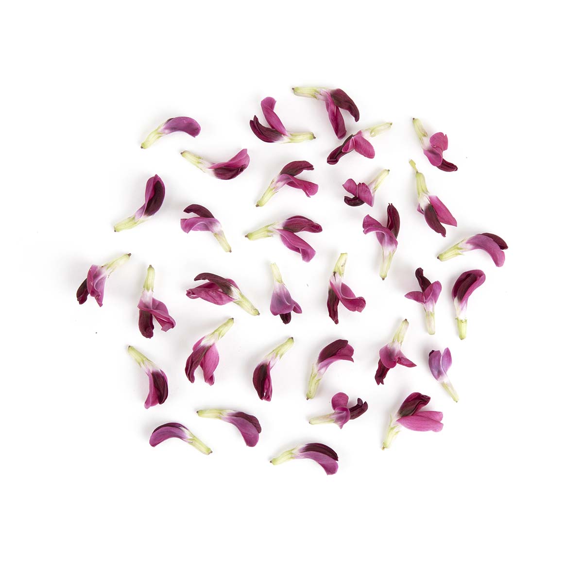 Fresh Origins Bean Flowers