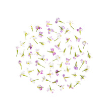 Wholesale Fresh Origins Radish Flowers- Bulk