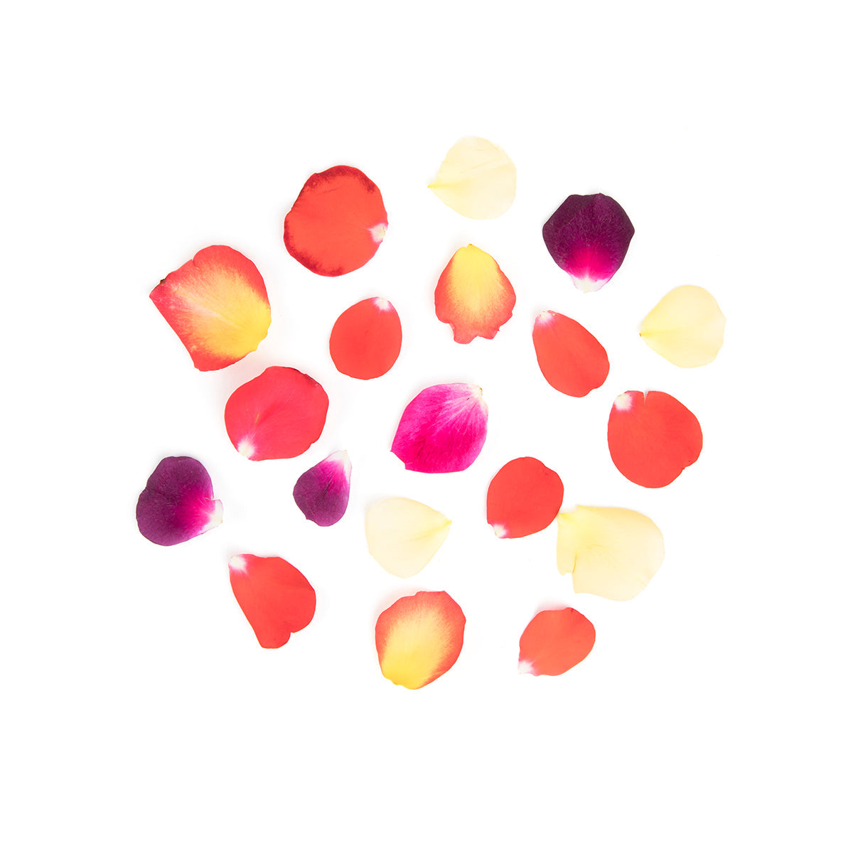 Wholesale Fresh Origins Multi Colored Rose Petals- Bulk