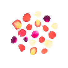 Wholesale Fresh Origins Multi Colored Rose Petals- Bulk