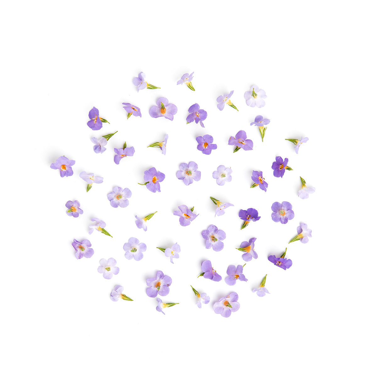 Fresh Origins Micro Princess Flowers