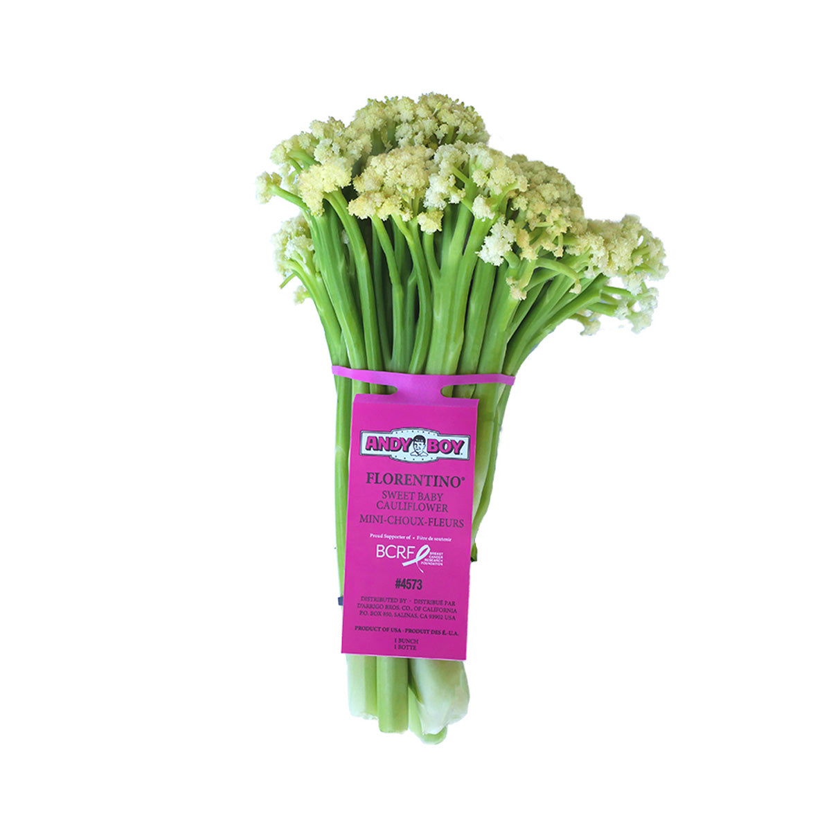 Wholesale D'Arrigo Andy Boy Florentino- Bulk