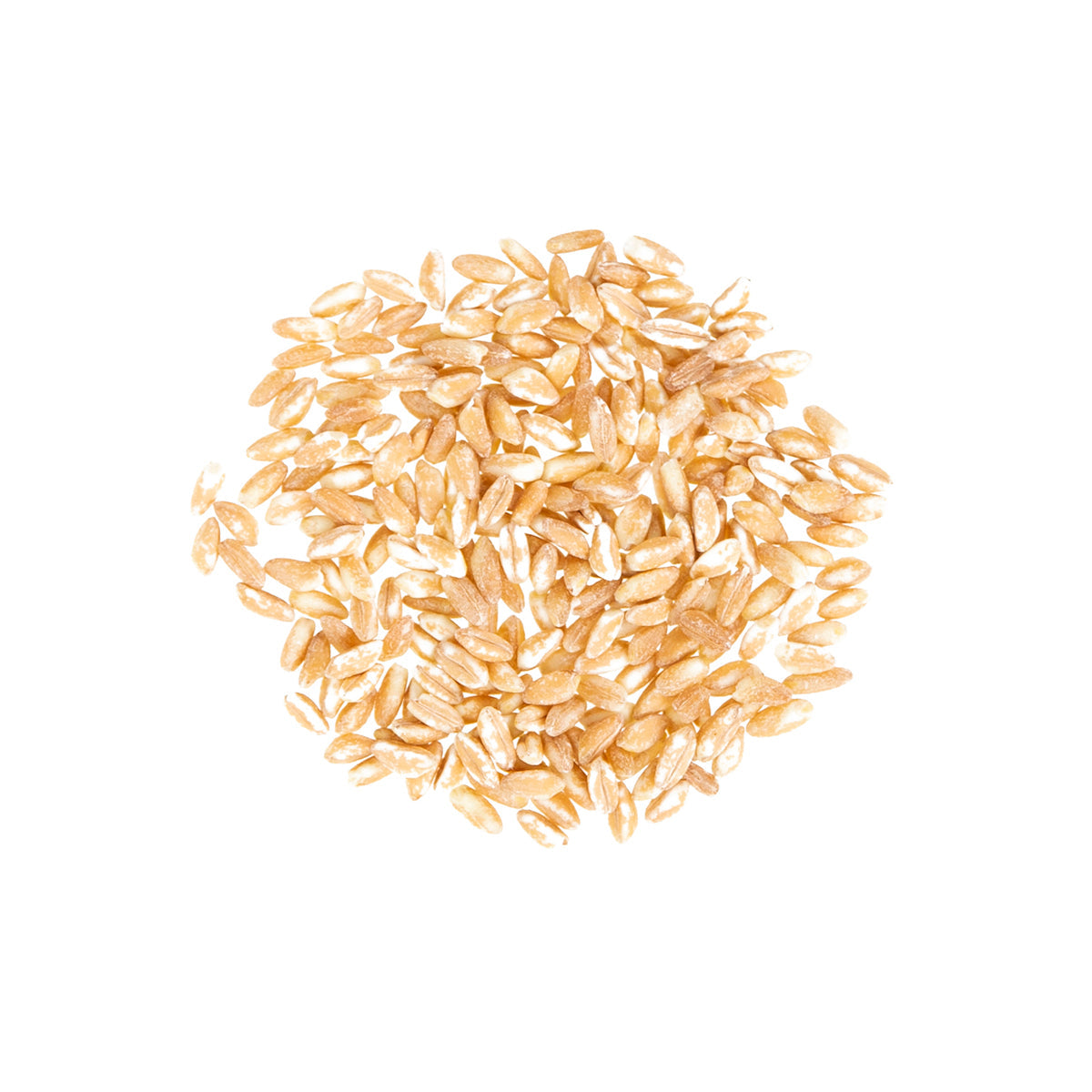 Wholesale Poggio Del Farro Farro-11 LB Bulk