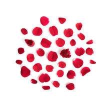 Wholesale Fresh Origins Red Rose Petals- Bulk