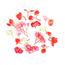 Wholesale Fresh Origins Begonia Flower Mix- Bulk