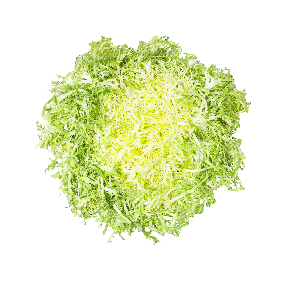 Wholesale BoxNCase Blanched Frisee- Bulk