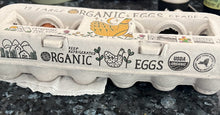 Wholesale Latremore Pine Ridge Farm Free Range Large Brown Eggs- Bulk