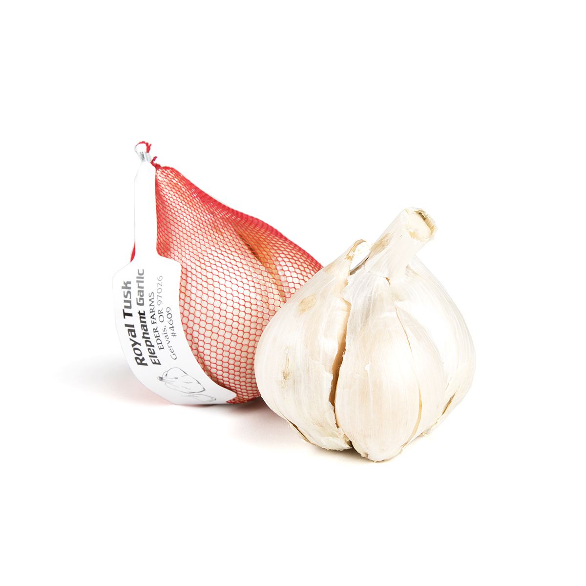 Wholesale BoxNCase Elephant Garlic-10 LB Bulk