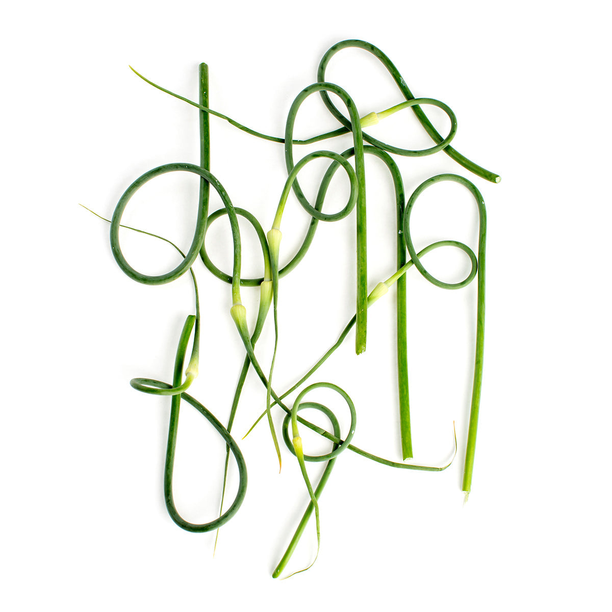 BoxNCase Wild Garlic Scapes 1 lb