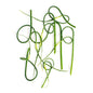BoxNCase Wild Garlic Scapes 1 lb