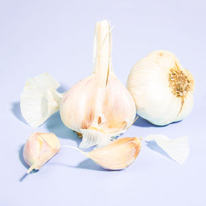 Wholesale BoxNCase Whole Garlic-5 LB Bulk