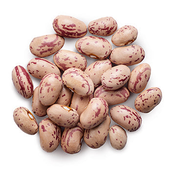 Wholesale Senor Frijoles Pinto Beans 1lb-24ct Case Bulk