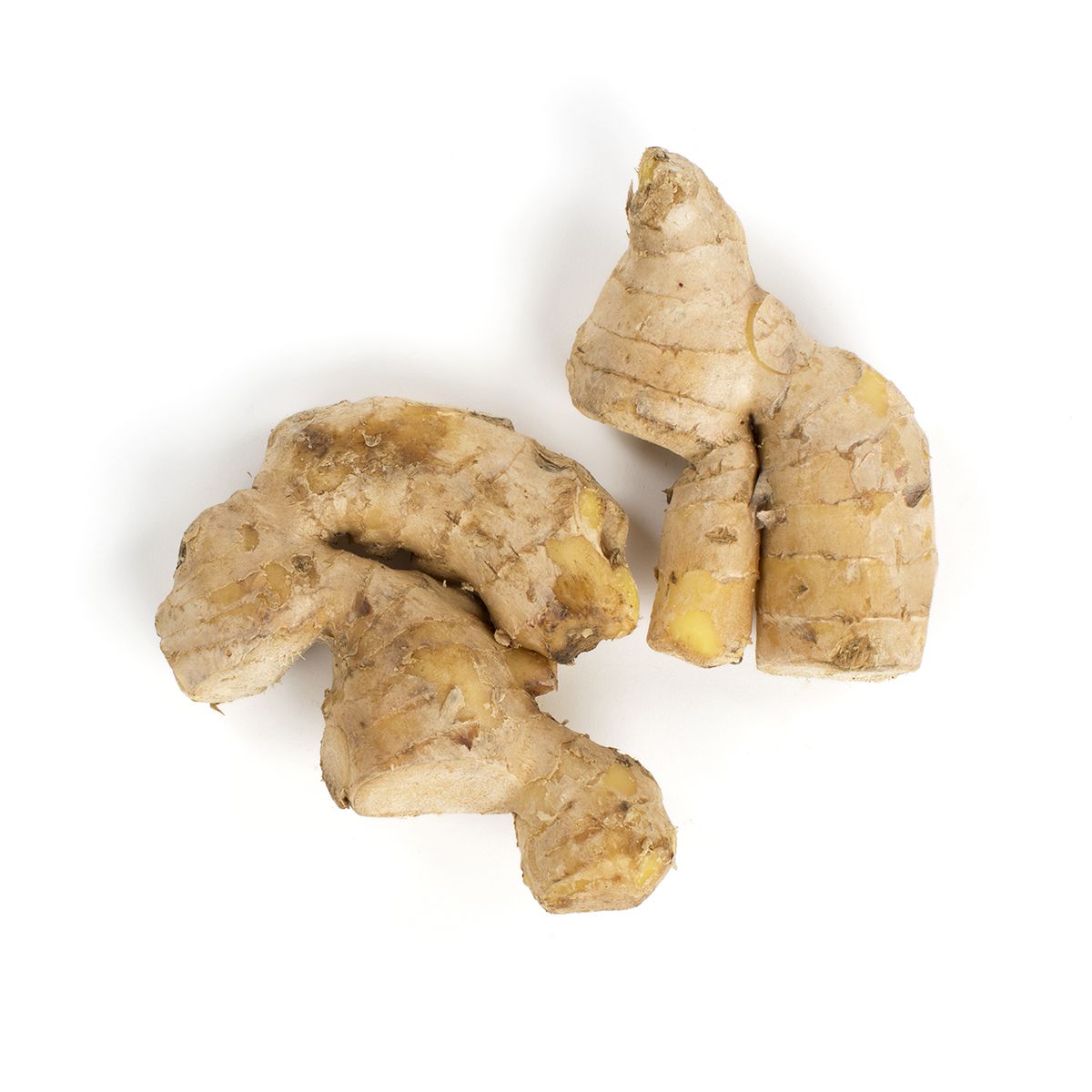 Wholesale BoxNCase Ginger- Bulk