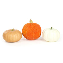 Wholesale BoxNCase Heirloom Pumpkins- Bulk