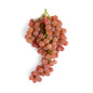 Wholesale BoxNCase Red Holiday Seedless Grapes- Bulk
