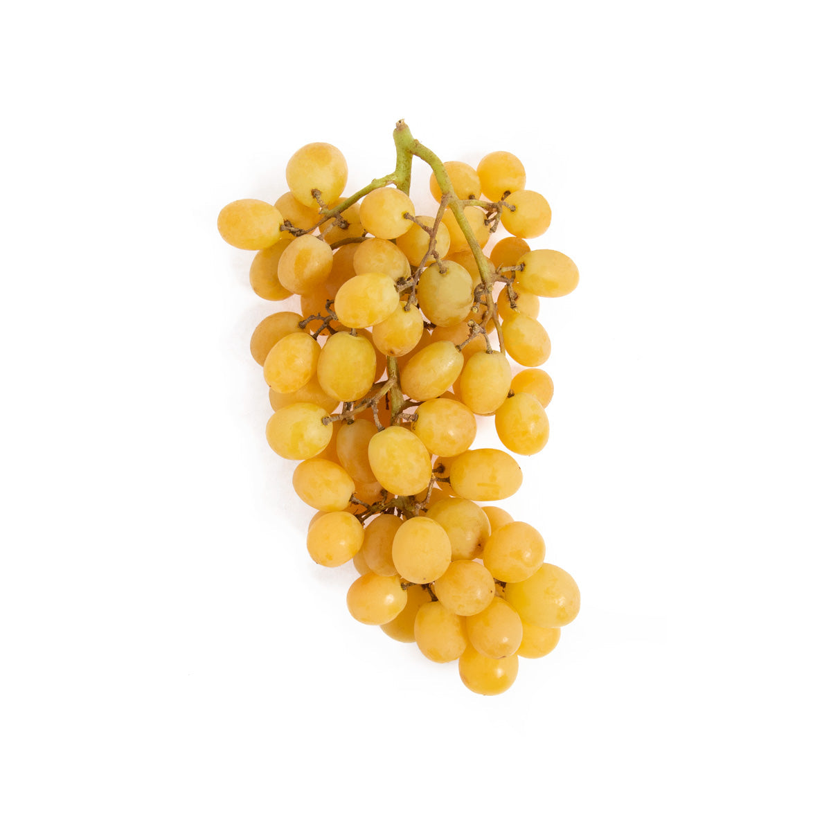 Wholesale BoxNCase Sweet Carnival Grapes-16 LB Bulk