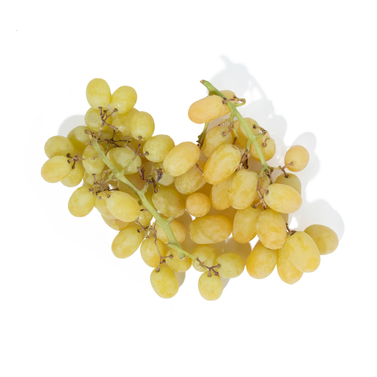 Wholesale BoxNCase Sweet Carnival Grapes 1 LB- Bulk