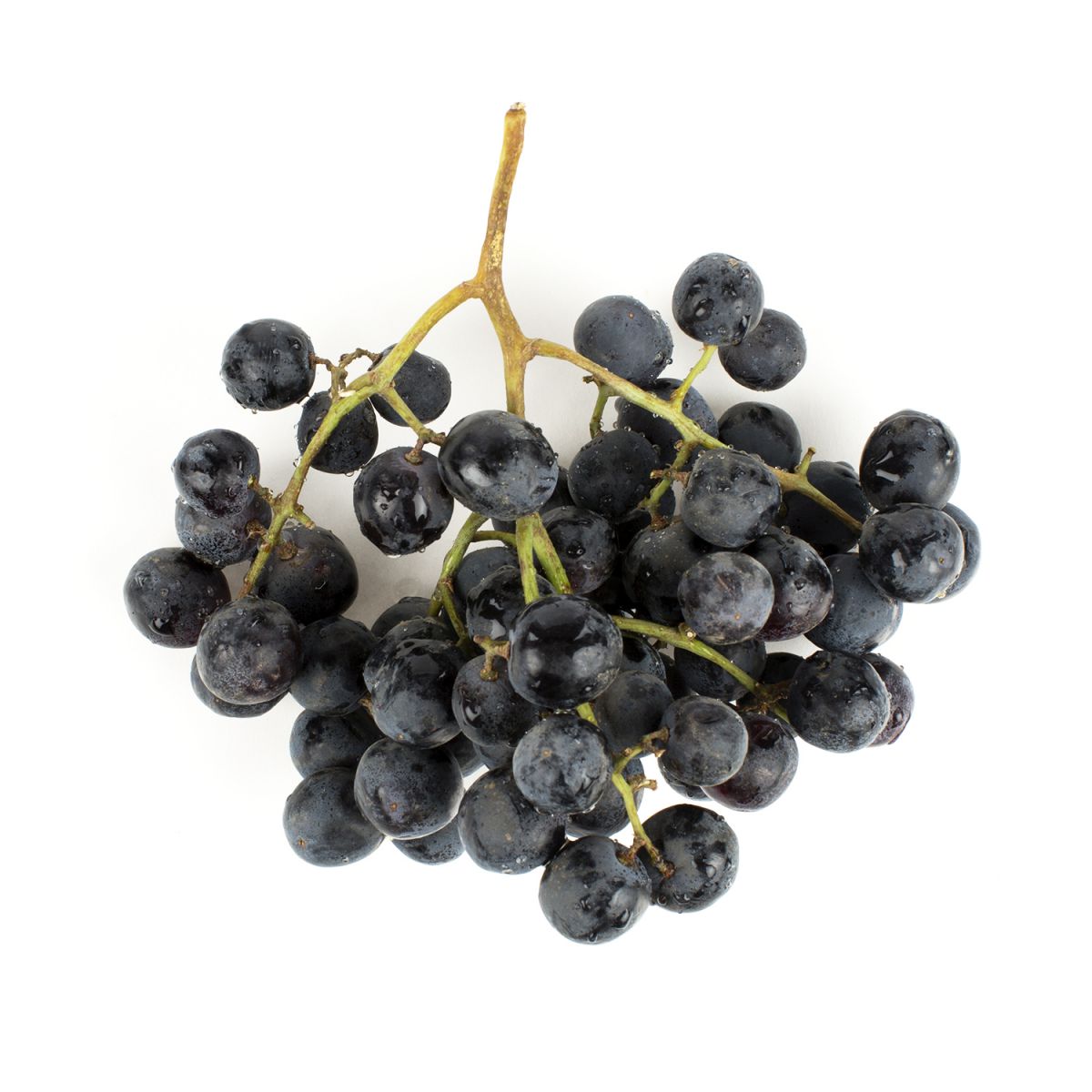 Wholesale BoxNCase Large Black Seedless Grapes-16-18 LB Bulk