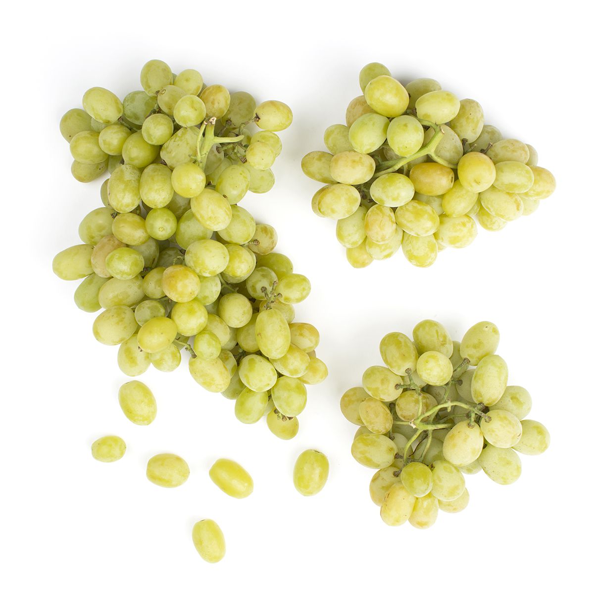 Wholesale BoxNCase XL Premium Green Seedless Grapes- Bulk