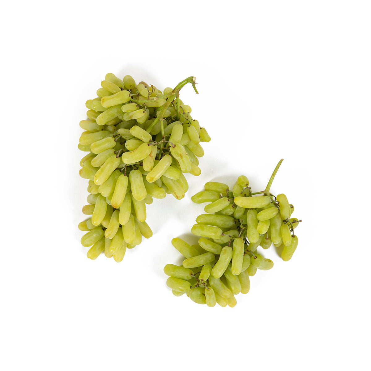 Wholesale Grapery Green Tear Drop Grapes-16 LB Bulk