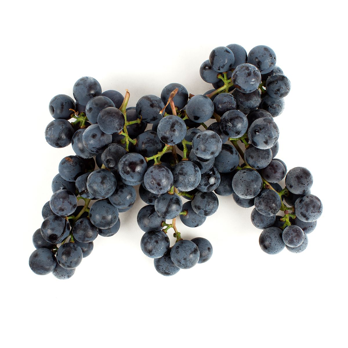 Wholesale BoxNCase Concord Grapes-10 LB Bulk