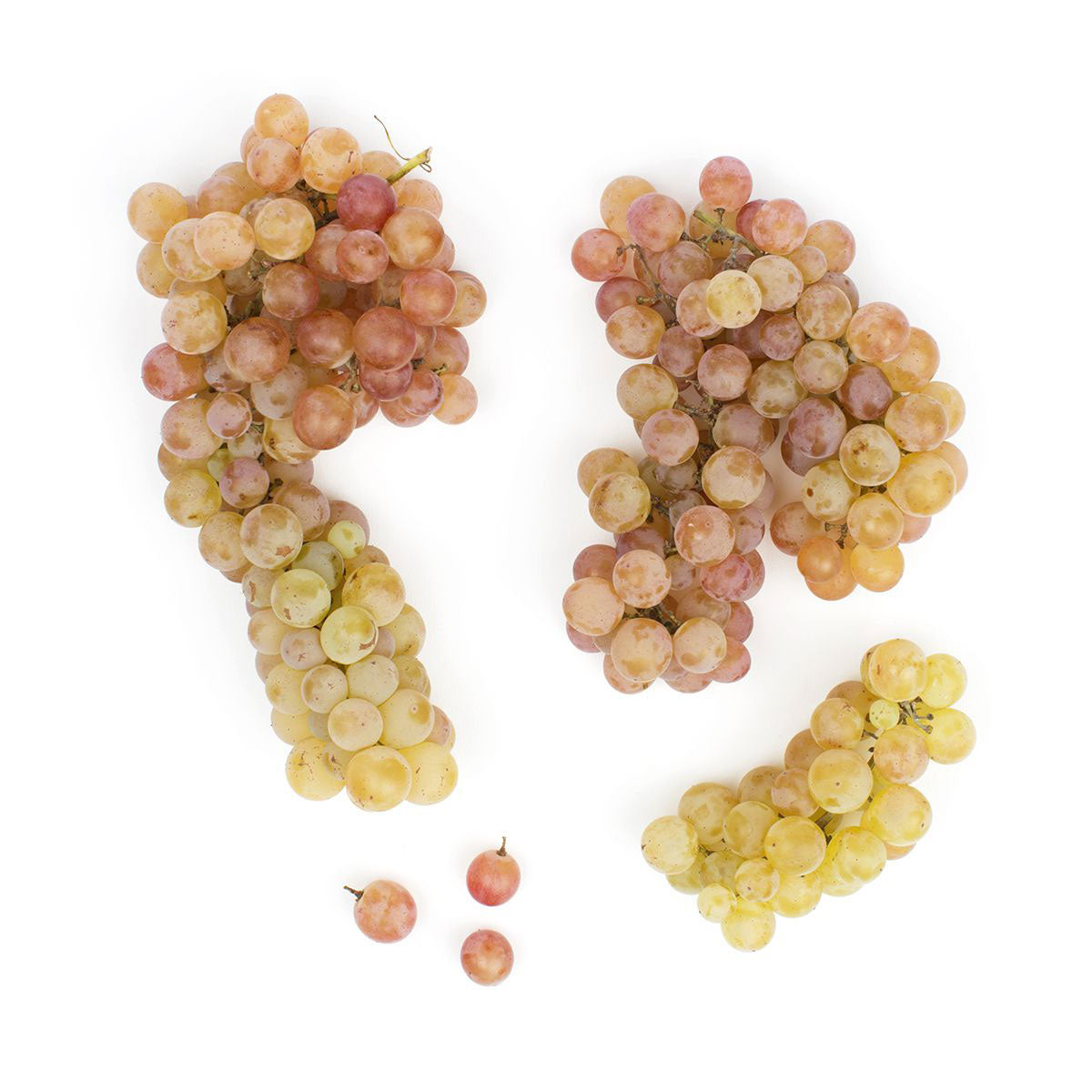 BoxNCase Pink Muscat Grapes 1 LB