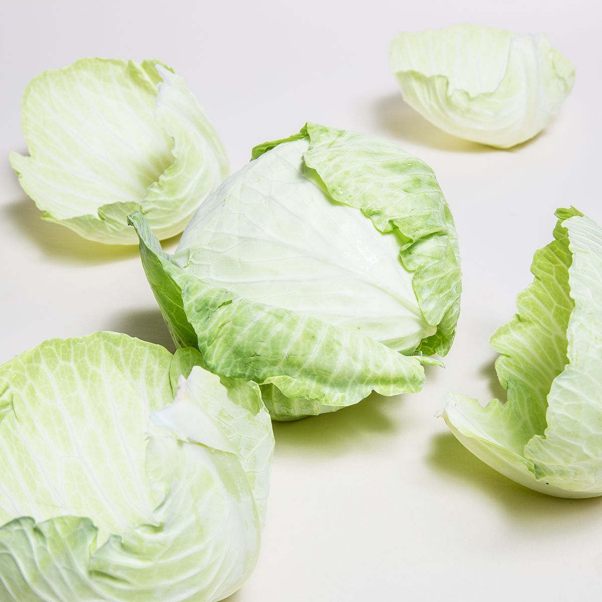 Wholesale BoxNCase Green Cabbage-3 CT Bulk