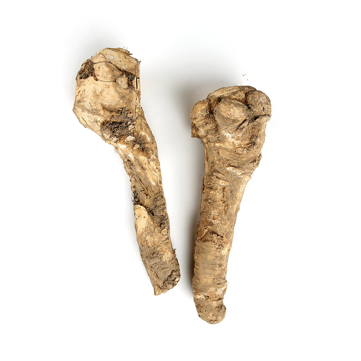 Wholesale BoxNCase Horseradish Root-50 LB Bulk