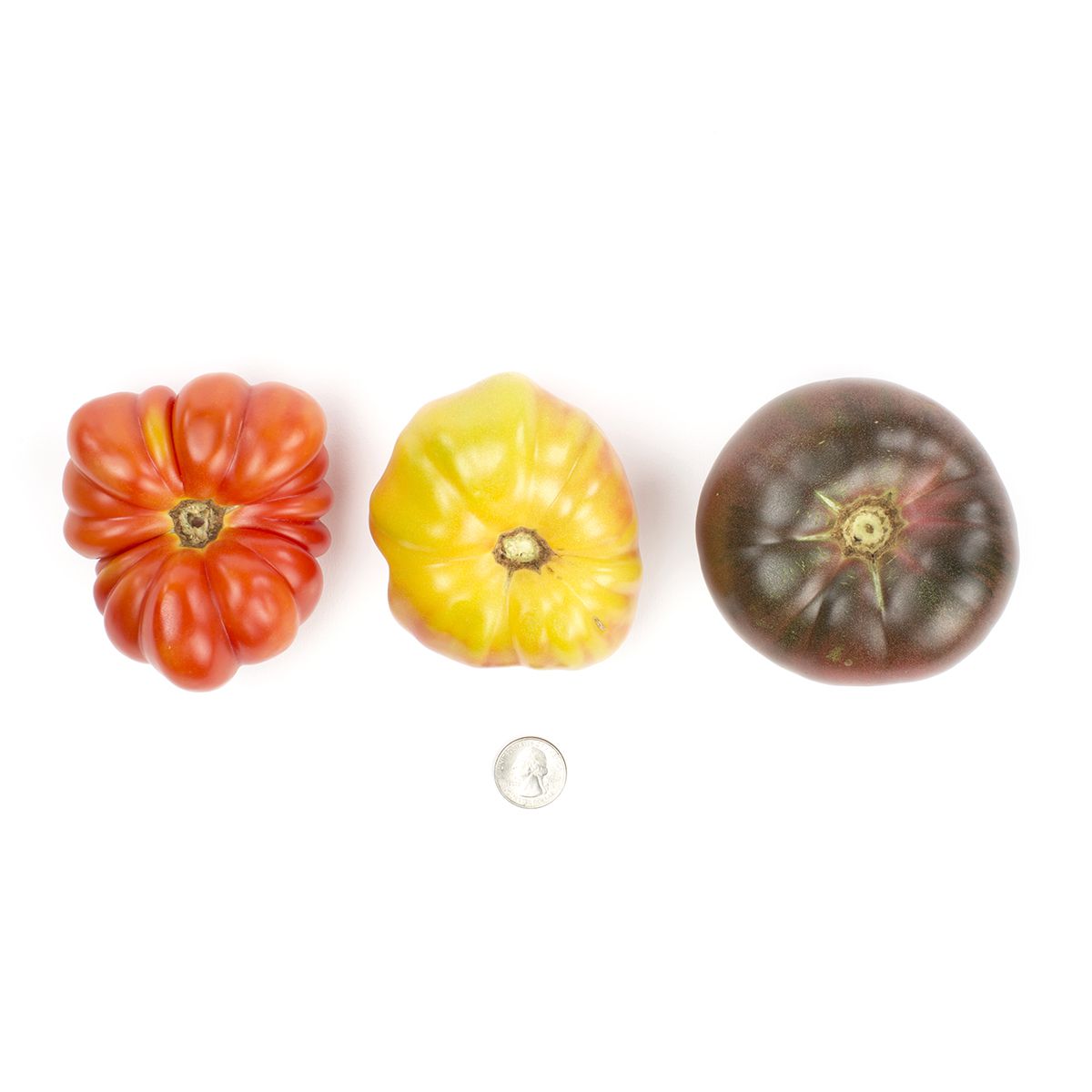 Wholesale Eckerton Hill Farm Large Heirloom Tomatoes 10 lb Pack-1 LYR 10 LB Bulk