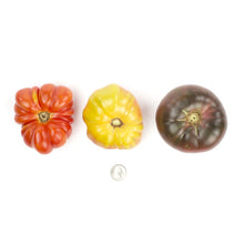 Wholesale Eckerton Hill Farm Large Heirloom Tomatoes- Bulk