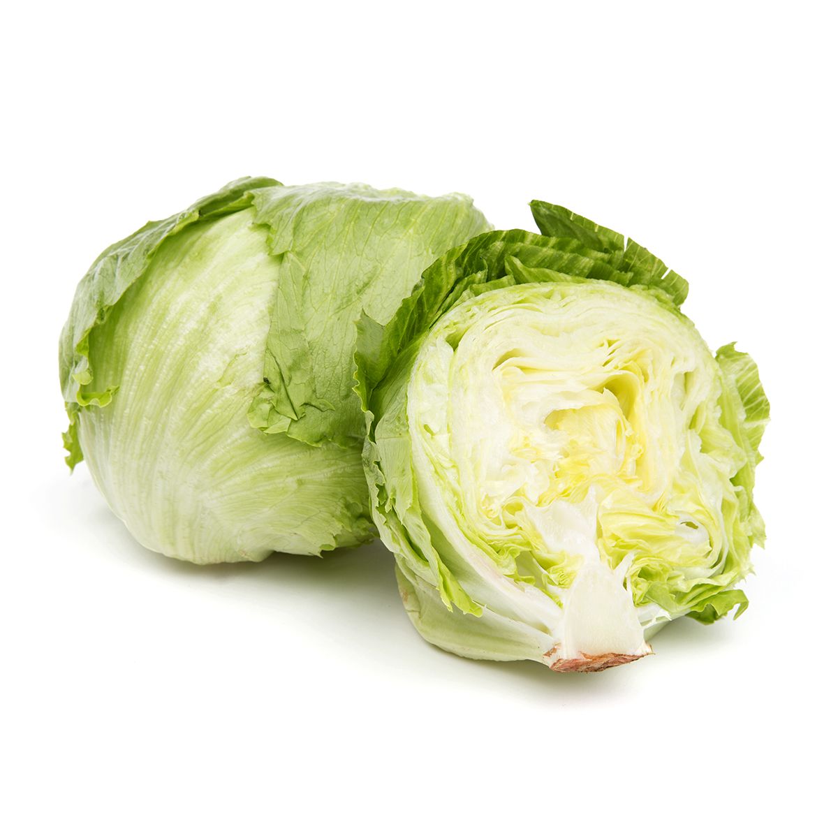 Wholesale BoxNCase Cello Iceberg Lettuce-24 CT Bulk