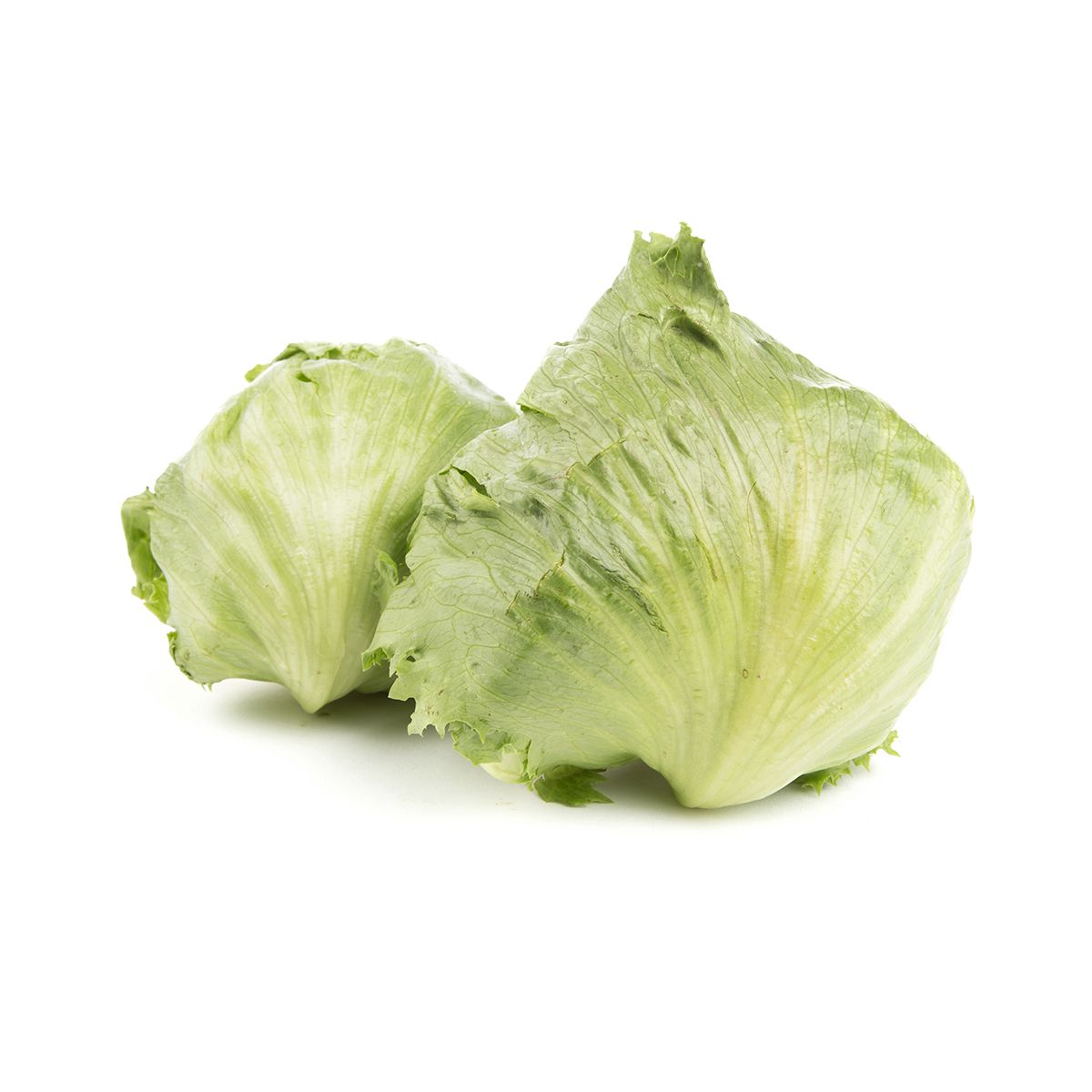 Wholesale BoxNCase Garden Heart Baby Iceberg Lettuce- Bulk