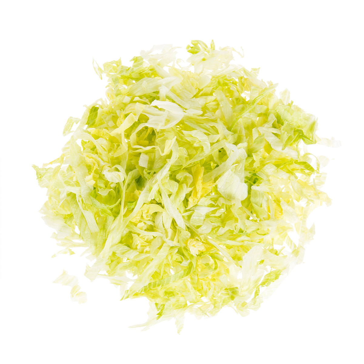 Wholesale BoxNCase Shredded Iceberg Lettuce 5 LB- Bulk