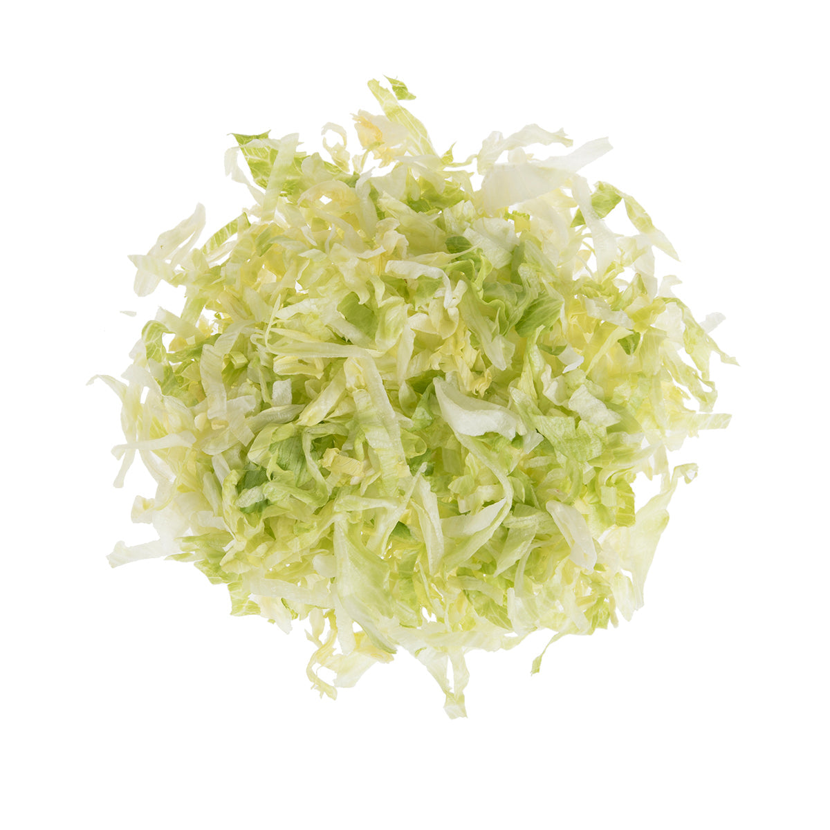 Wholesale BoxNCase Shredded Iceberg Lettuce 5 lb-5 LB Bulk