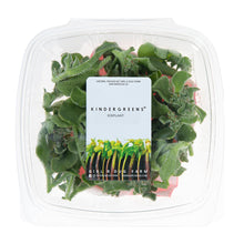 Wholesale Girl & Dug Farm Iceplant- Bulk