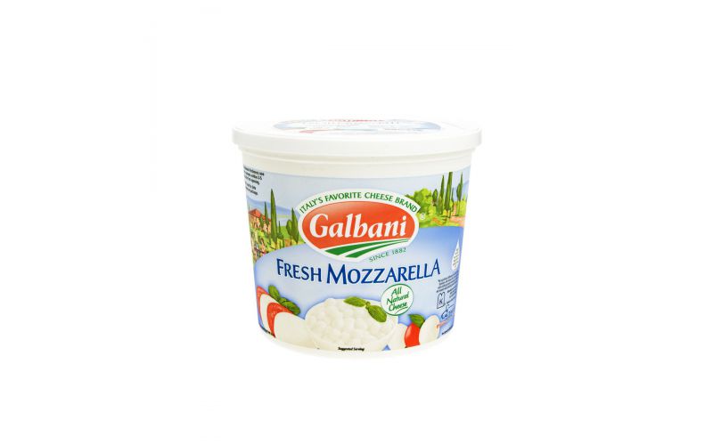 Wholesale Galbani Mozzarella Cheese Logs in Water 1 Lb- Bulk