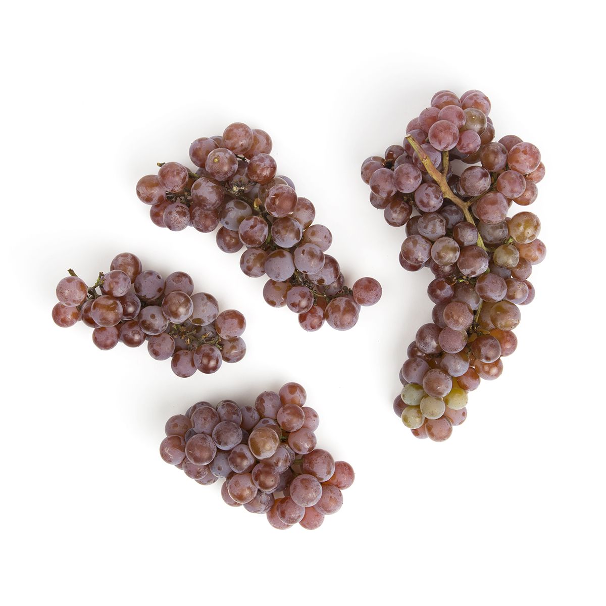 Wholesale Buzzard Crest Vineyards Organic Red Canadice Grapes 2 LB- Bulk