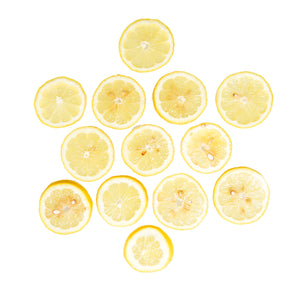 Wholesale BoxNCase 1/4 Sliced Lemons 5 LB-2ct Case Bulk