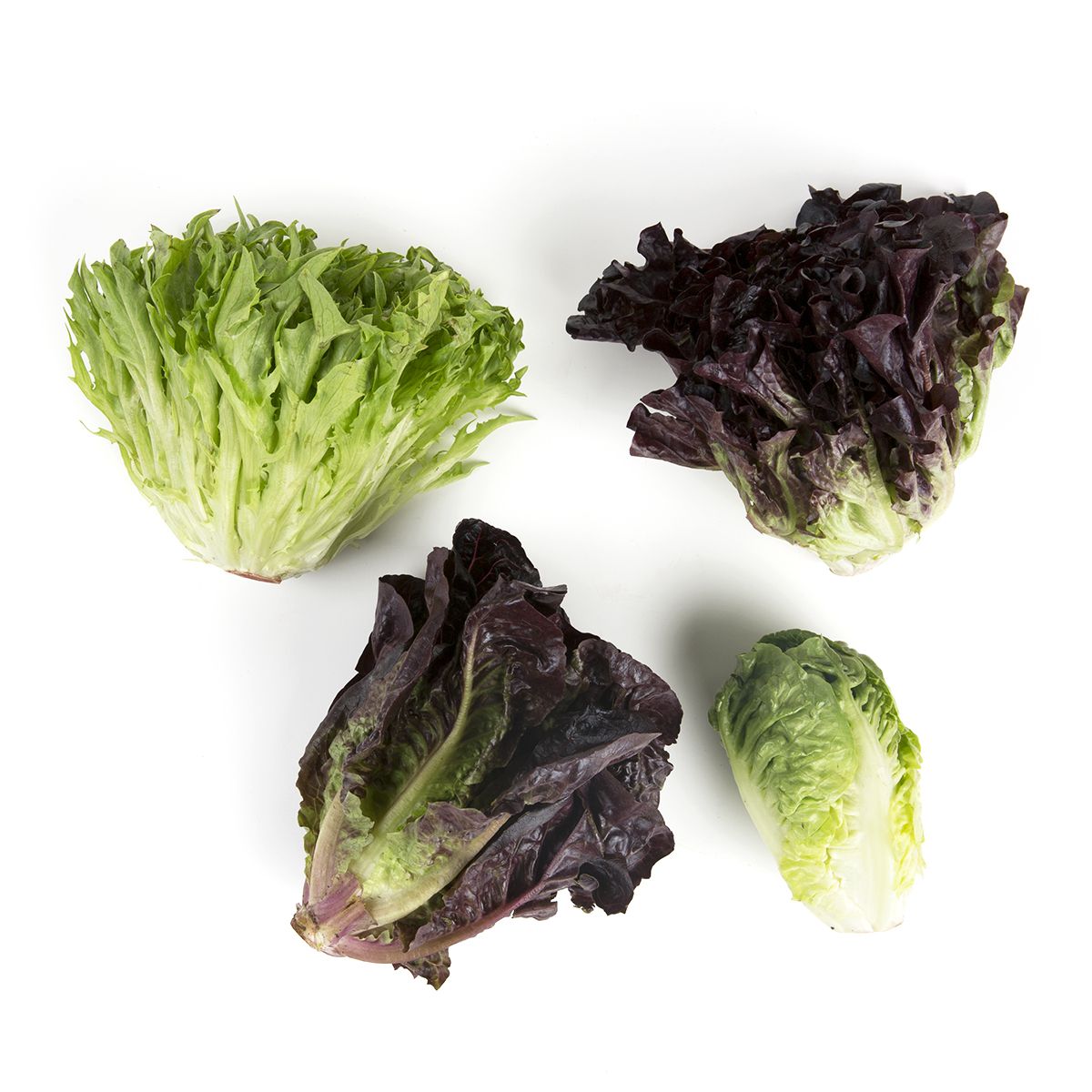 Wholesale Tanimura & Antle Artisan Mini Head Lettuce 4 CT- Bulk
