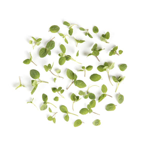 Wholesale BoxNCase Micro Basil-8 OZ Bulk