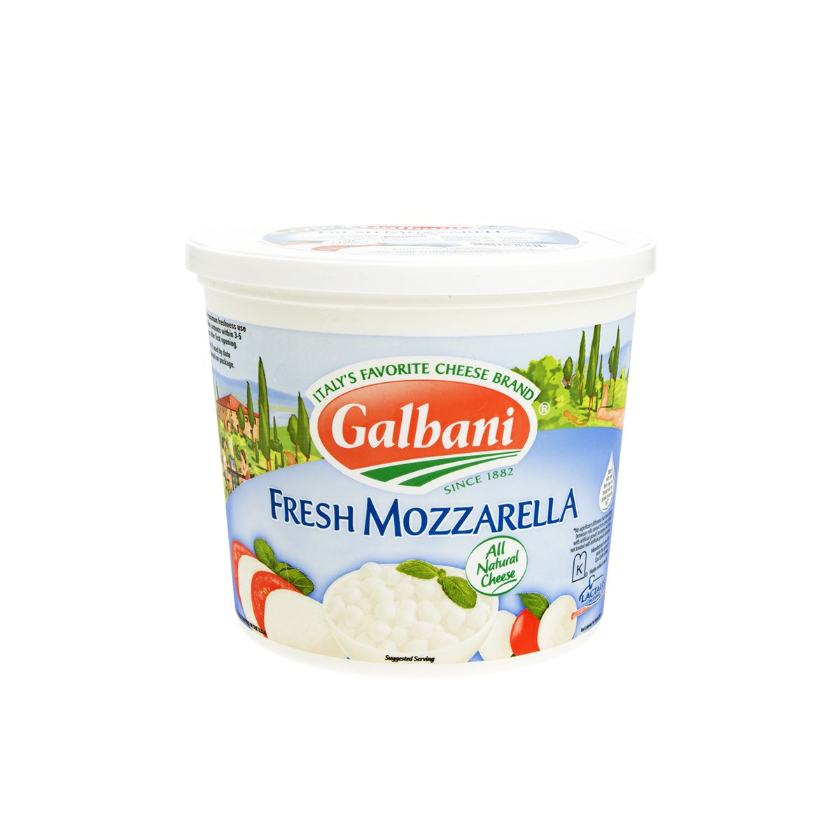 Wholesale Galbani Mozzarella Cheese Logs in Water 1 Lb- Bulk