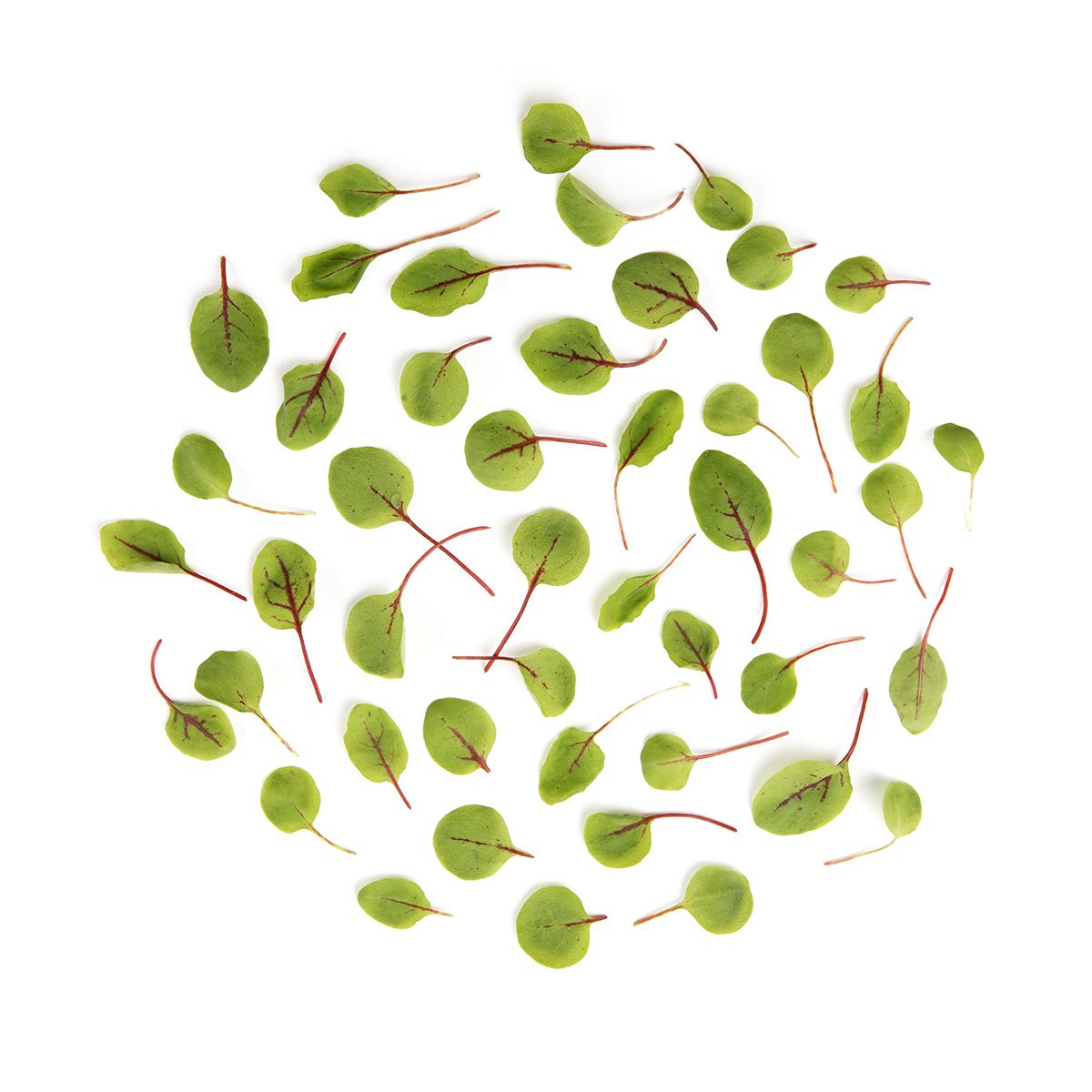 Wholesale BoxNCase Micro Hearts on Fire- Bulk