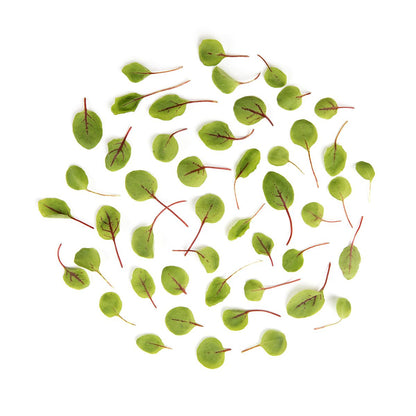 Wholesale BoxNCase Micro Hearts on Fire- Bulk